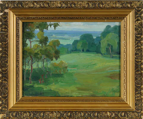 Константинов Иван Иванович.  Дачный остров. Саратов